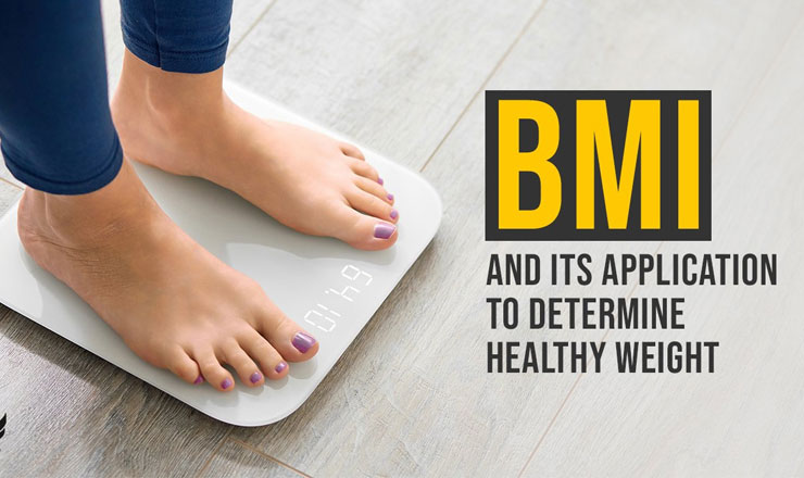 What is BMI used for?