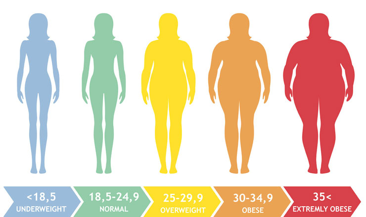 What is a healthy BMI?