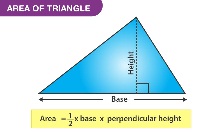 What is the Area of a Triangle?